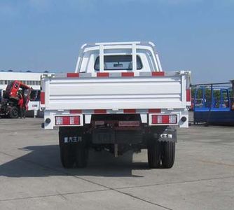 Ace car CDW1031N1M5Q Truck