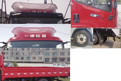 Jiefang Automobile CA1070K6L3E61 Truck