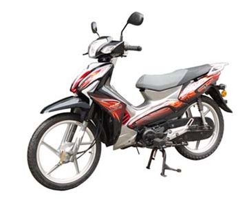 Qianjiang  QJ11010D Two wheeled motorcycles