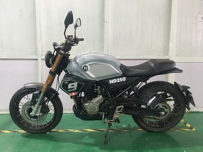 Hongdu  HD250 Two wheeled motorcycles