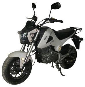 Wangjiang  WJ15018 Two wheeled motorcycles