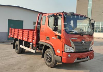 Foton  BJ3094DFJBA05 Dump truck