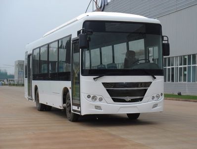 BYD  CK6101GC3 City buses