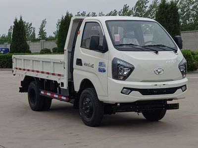 Shifeng  SSF3046DDJ43 Dump truck