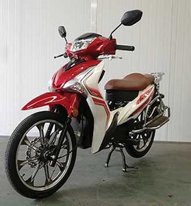 Dongben  DB2000DA Electric two wheeled motorcycle