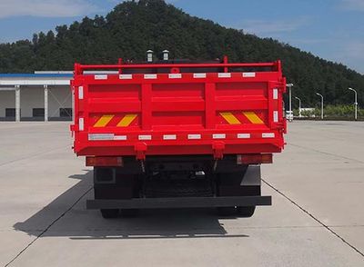 Shitong  STQ3185L10Y2N6 Dump truck