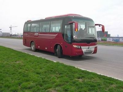 Huanghai  DD6896K11 coach