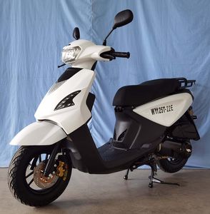 Wangye  WY125T22E Two wheeled motorcycles