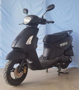 Wangye  WY125T22E Two wheeled motorcycles