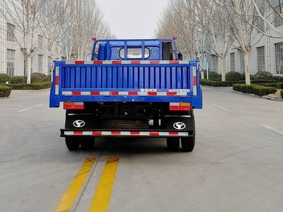 Shifeng  SSF1046HDJ65Q Truck