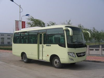 Shuchi  YTK6660Q coach