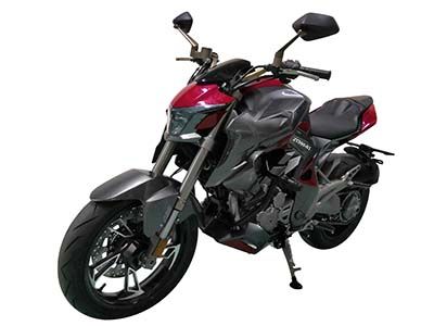 Shengshi  ZT300R1 Two wheeled motorcycles