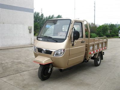 Shijie  7YPJZ850D Self dumping tricycle