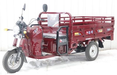 Mount Everest  ZF1200DZH6A Electric tricycle