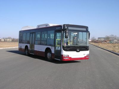 Huanghai  DD6109S55 City buses