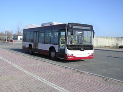 Huanghai  DD6109S55 City buses