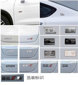 Geely Meiri  MR6463D08 multi-purpose vehicle 