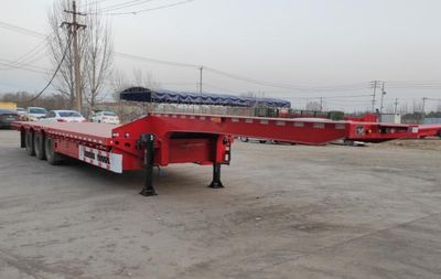 Wanli Ruofei  WYS9400TDP Low flatbed semi-trailer