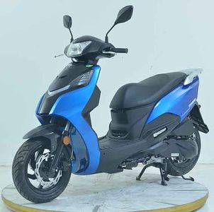 Xiaxing Sanyang  XS125T21A Two wheeled motorcycles