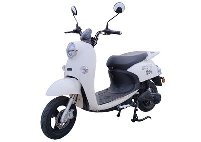 Zhima  ZM1200DT Electric two wheeled motorcycle