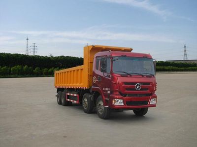 Dayun  DYX3314WD3BD Dump truck