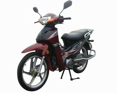 Jinlong  JL11031A Two wheeled motorcycles