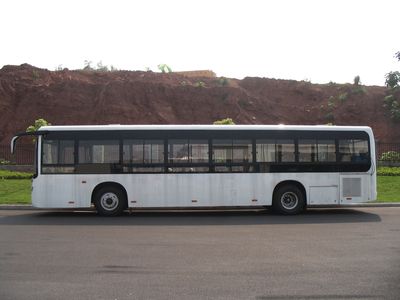 CSR Times TEG6128GJ City buses