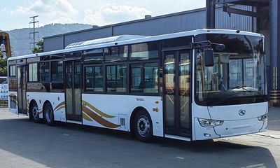 Jinlong  XMQ6141AGD6 City buses