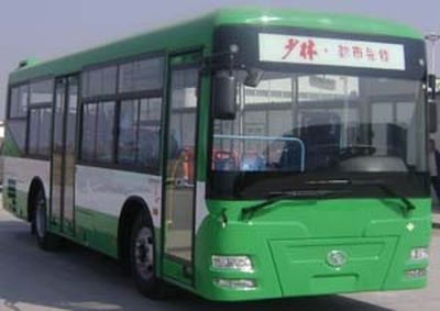 Shaolin  SLG6930T3GER City buses