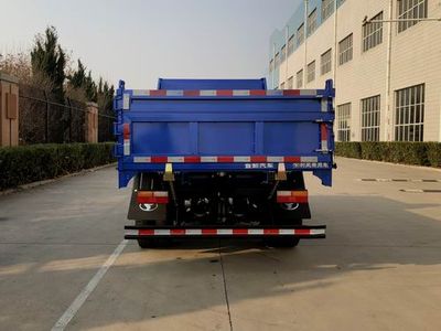 Shifeng  SSF3046DDP44C Dump truck