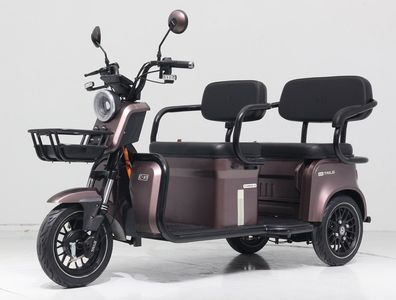 Tailing  TL1200DZK10 Electric tricycle