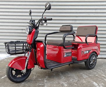 Wuyang  WY1000DZK5B Electric tricycle