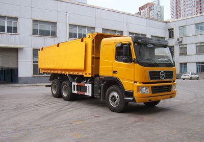 Dayun  DYX3251PA34WPD3D Dump truck