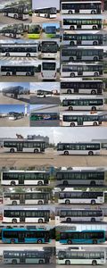 Foton  BJ6105EVCA49 Pure electric city buses