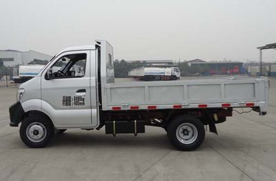 Ace car CDW3030N2M4 Dump truck