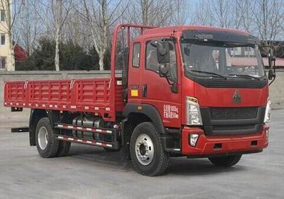 Haowo  ZZ1187K451DF1 Truck