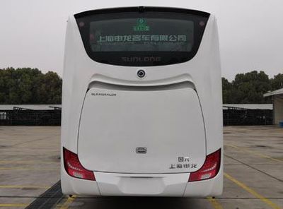 Shenlong brand automobile SLK6126ALD6 coach