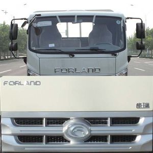 Foton  BJ1046V9JC5E1 Truck