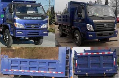 Foton  BJ3102DDPFAG1 Dump truck