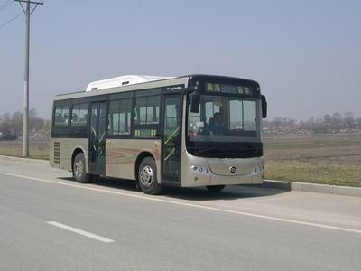 Huanghai DD6780G01City buses