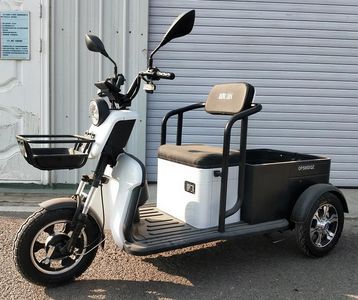 Europa  OP500DQZ2G Electric three wheeled light motorcycle