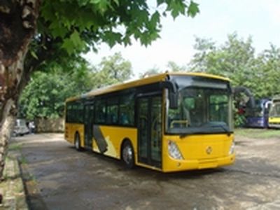 Dongfeng  DHZ6120RC6 City buses