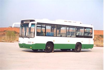 Yangzi YZK6852HZBTcoach