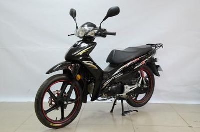 Dayang DY12528MTwo wheeled motorcycles