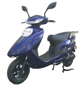 Julong  JL600DQT2 Electric two wheeled light motorcycle