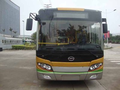 Wuzhoulong  FDG6113NG1 City buses