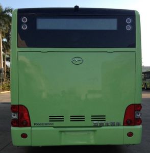 Wuzhoulong  FDG6121EVG1 Pure electric city buses