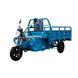 Century Bird SJN1500DZH3A Electric tricycle