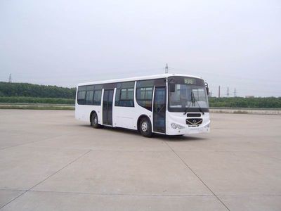 Yangtze River brand automobilesWG6101NQECity buses