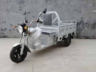 Shunfengniao Weike  SFN1000DZH Electric tricycle